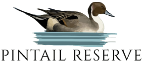 Pintail Reserve